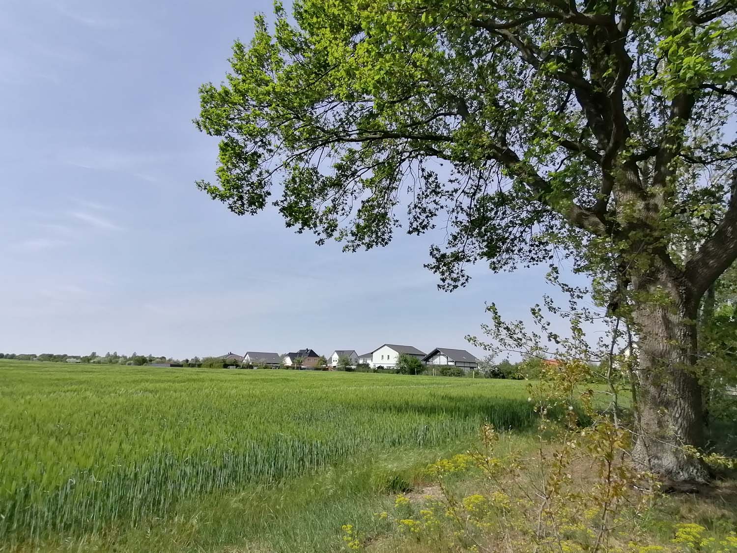 Rotberg Dorfeingang links