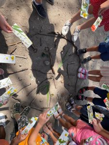 Naturmandala und Naturfarbpaletten